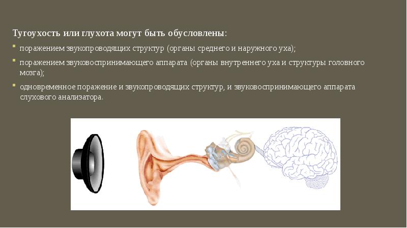 Может привести к глухоте. Внезапная глухота. Тугоухость и глухота.