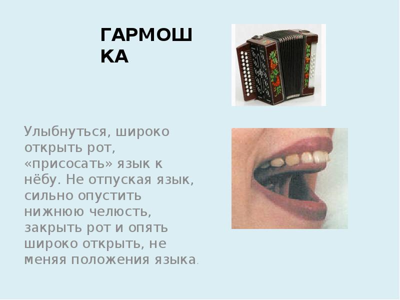 Положение языка