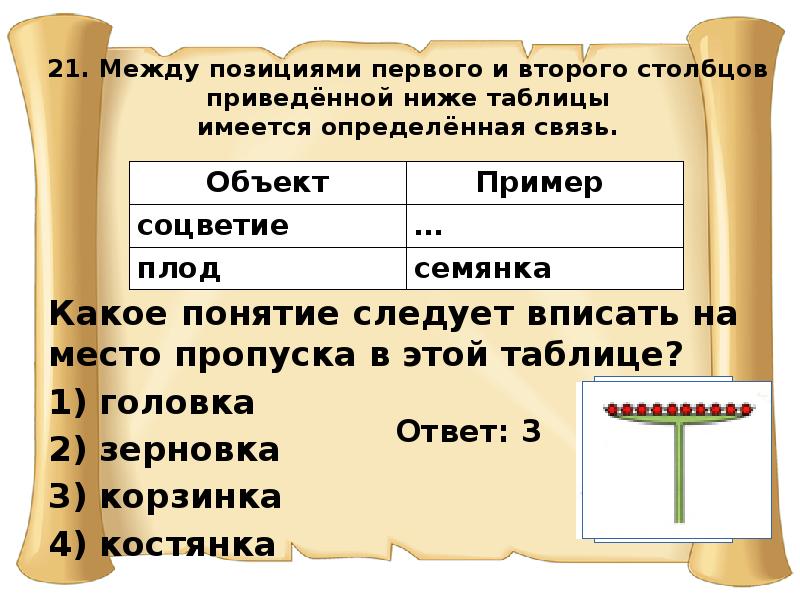 Между 1 4 и 1 2. Между позициями первого и второго Столбцов приведённой ниже таблицы. Между позициями 1 и 2 Столбцов. Какое понятие следует вписать на место пропуска в этой таблице. Между таблицами первого и второго Столбцов приведенной ниже таблица.