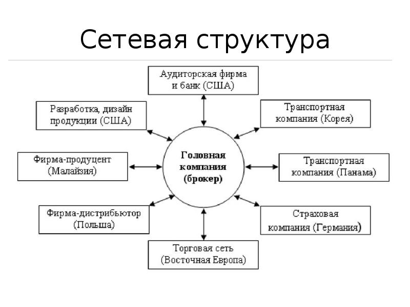 Сетевые структуры общества