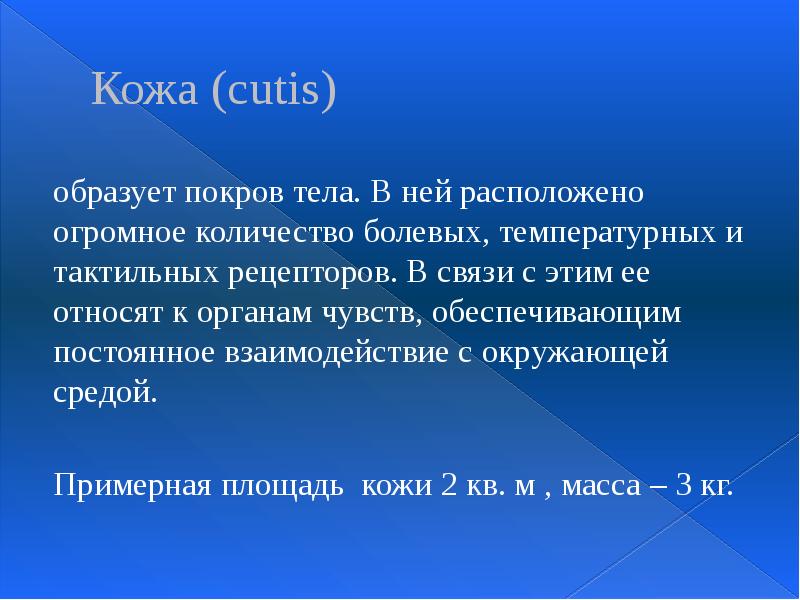 Кожа (cutis) образует покров тела. В ней расположено огромное количество болевых,