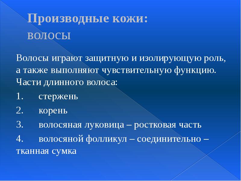 Производные кожи:  волосы Волосы играют защитную и изолирующую роль, а