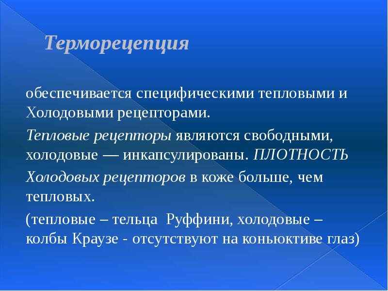 Терморецепция обеспечивается специфическими тепловыми и Холодовыми рецепторами. Тепловые рецепторы являются свободными,