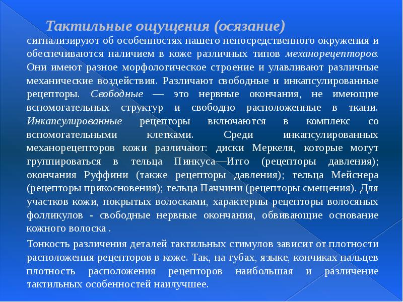 Тактильные ощущения (осязание)  сигнализируют об особенностях нашего непосредственного окружения и