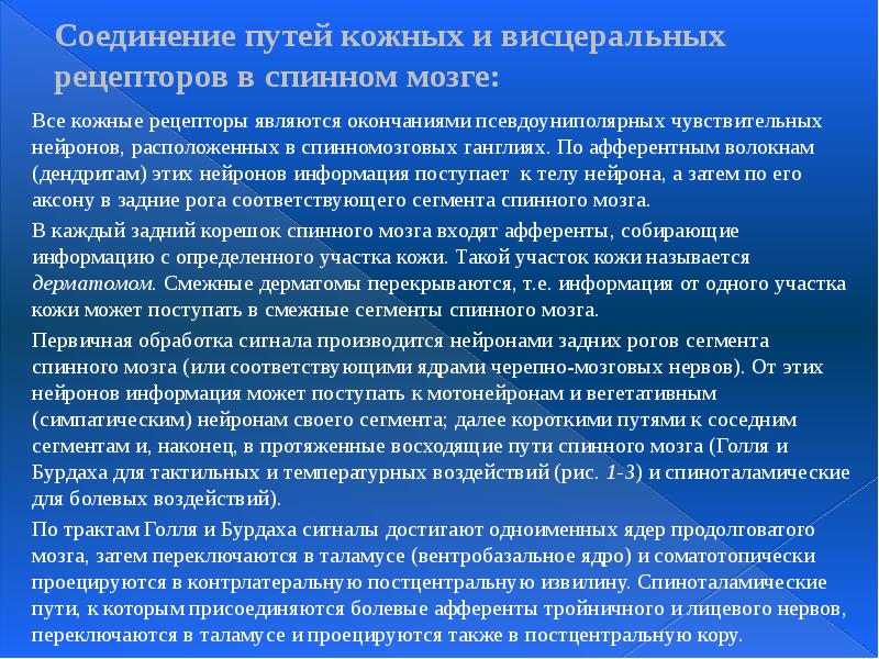 Соединение путей кожных и висцеральных рецепторов в спинном мозге: Все кожные