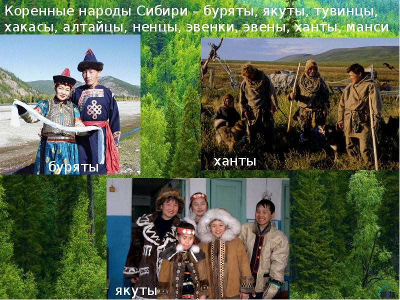 Коренные народы сибири презентация