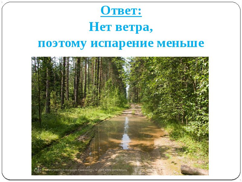 Ответы на эколог. 15 Июня Всемирный день ветра 2021. 15 Июня 2021 день ветра. День ветра 2021.