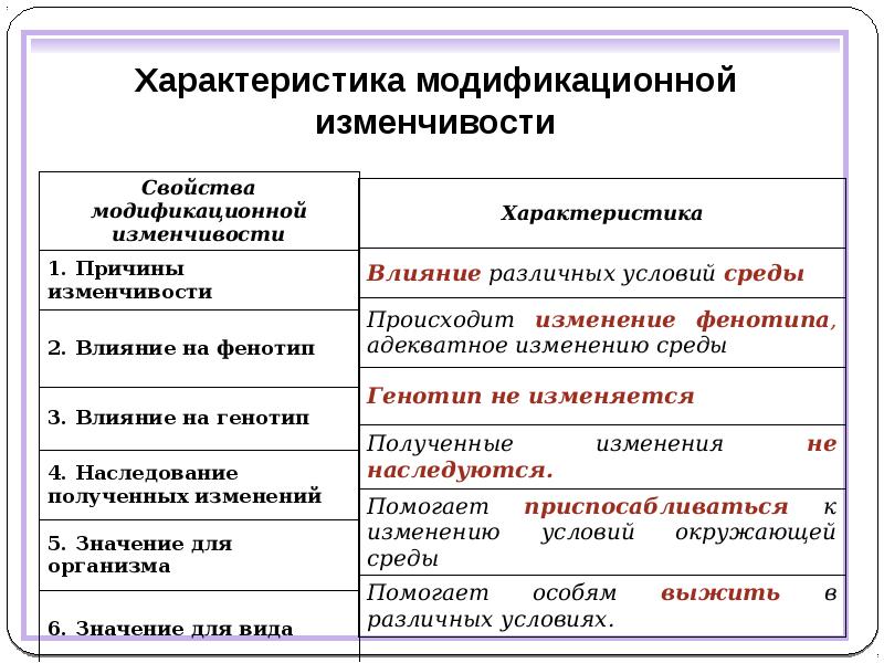 4 модификационная изменчивость