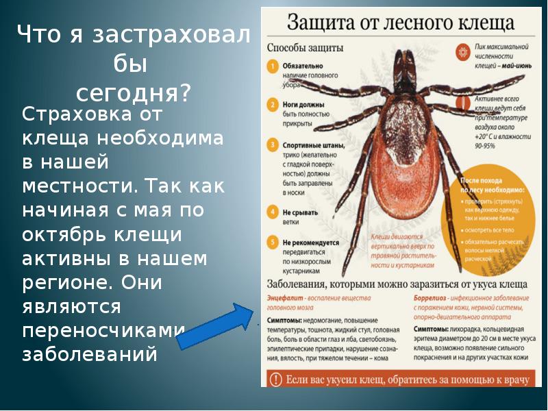 Первая помощь при укусе клеща презентация