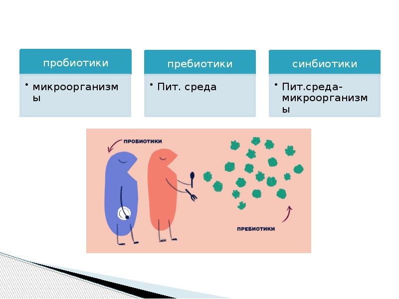 Пробиотики пребиотики и симбиотики презентация