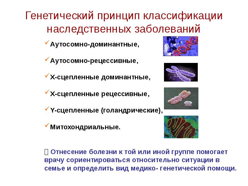 Наследственные заболевания презентация генетика