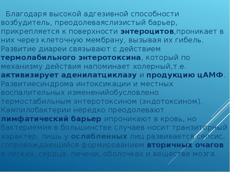 Изменения выражены. Нормы избирательного законодательства. Нормы избирательного права. Нормы избирательного законодательства РФ. Процессуальные нормы избирательного права.