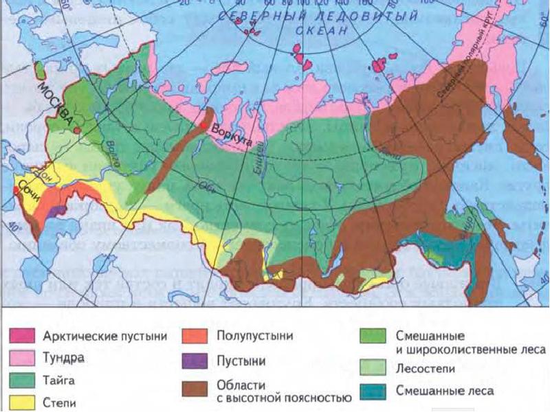 Природные зоны мира 6 класс география контурная карта