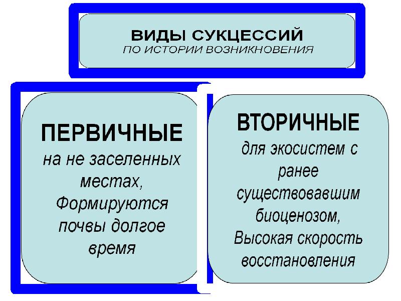 Сукцессия презентация 11 класс