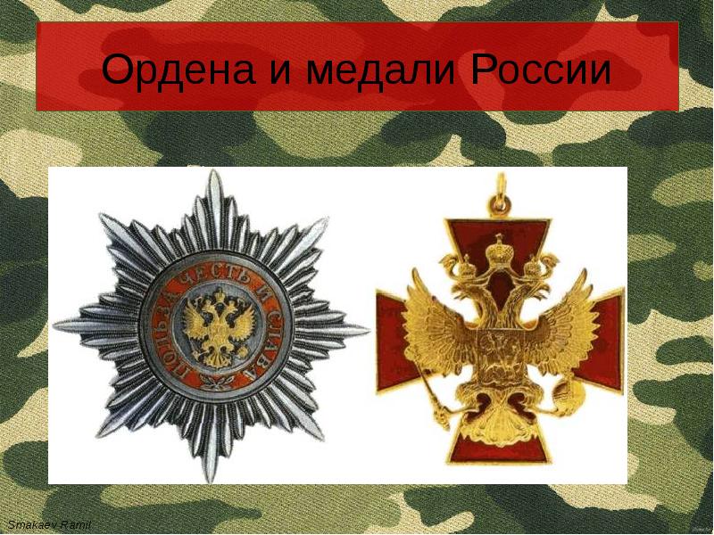 Проекты орденов рф