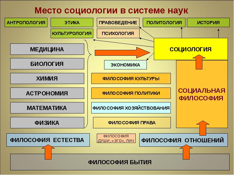 Управление проектами это выберите один ответ синтетическая дисциплина смежная наука точная наука