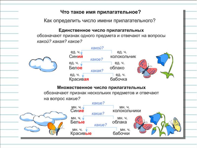 Презентация число прилагательных 2 класс презентация