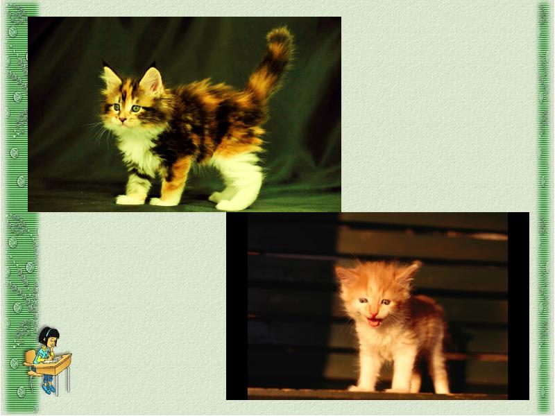 Произведение котенок благинина. Е Благинина котенок. Е.А. Благининой «котёнок». Презентация к стихотворению котенок.