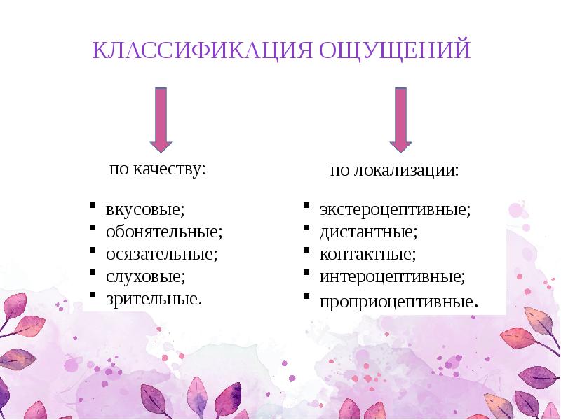 Классификация ощущений схема