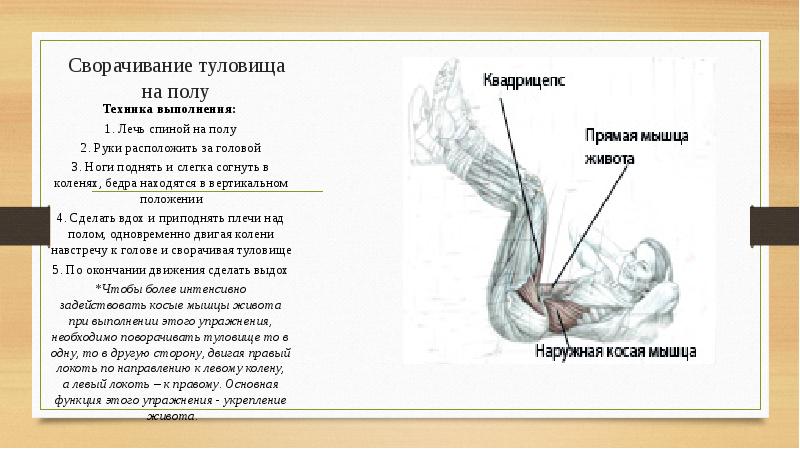 Презентация на тему упражнения на спину