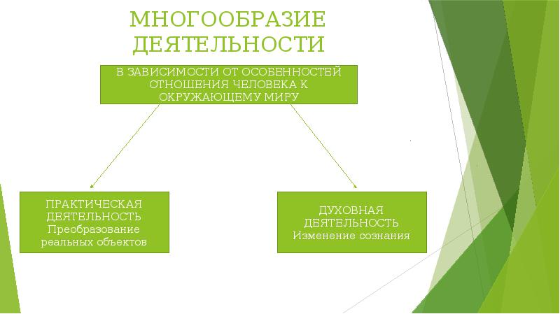 Многообразие видов деятельности обществознание 6 класс