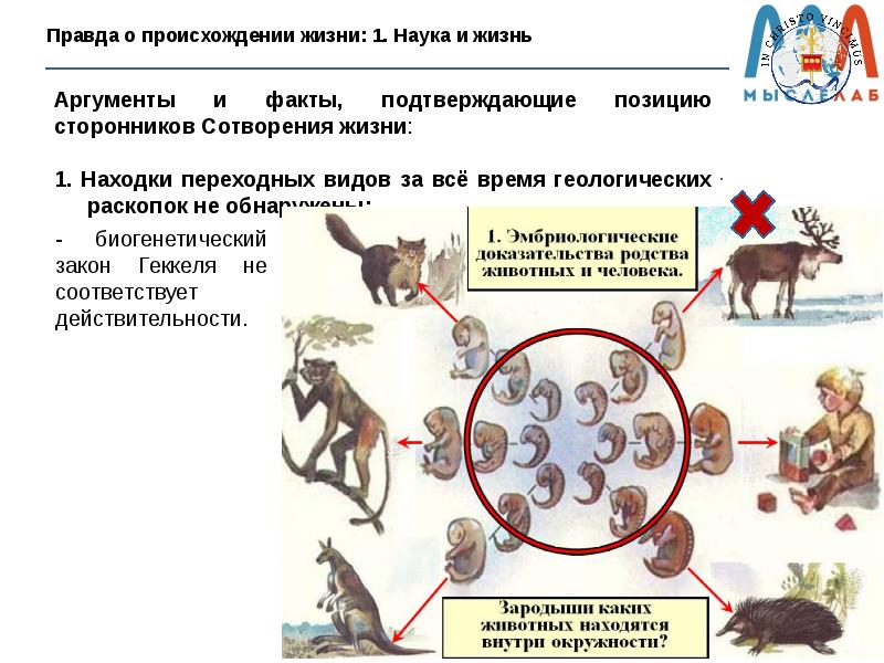 Появление стало проблема возникновения жизни следы. Происхождение жизни наука и Вера. Истина о происхождении чисел.. Раскажите о происхождении сельского хозяйсвенных животных.