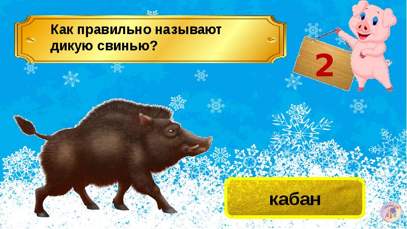 Год кабана числах. Год кабана. Кабан годы рождения. Год свиньи. Год кабана или свиньи.