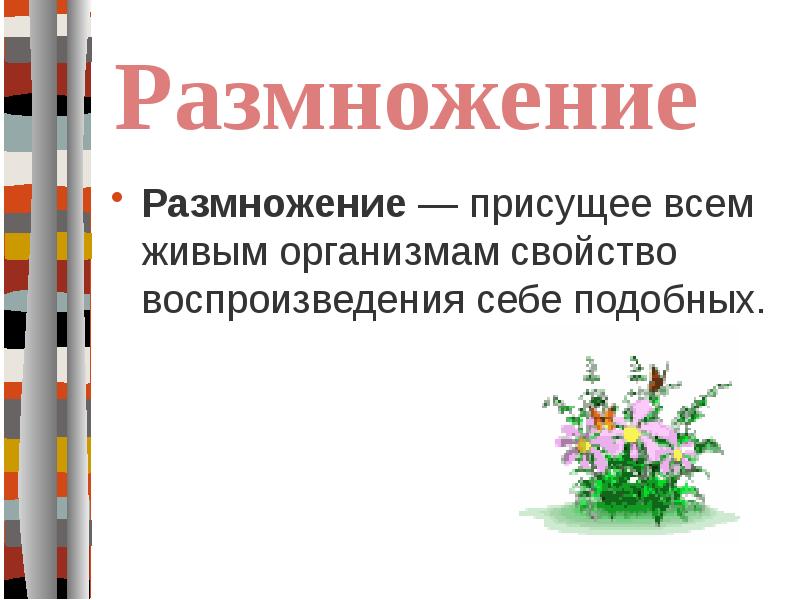 На рисунке изображен пример иллюстрирующий присущее всем живым организмам свойство