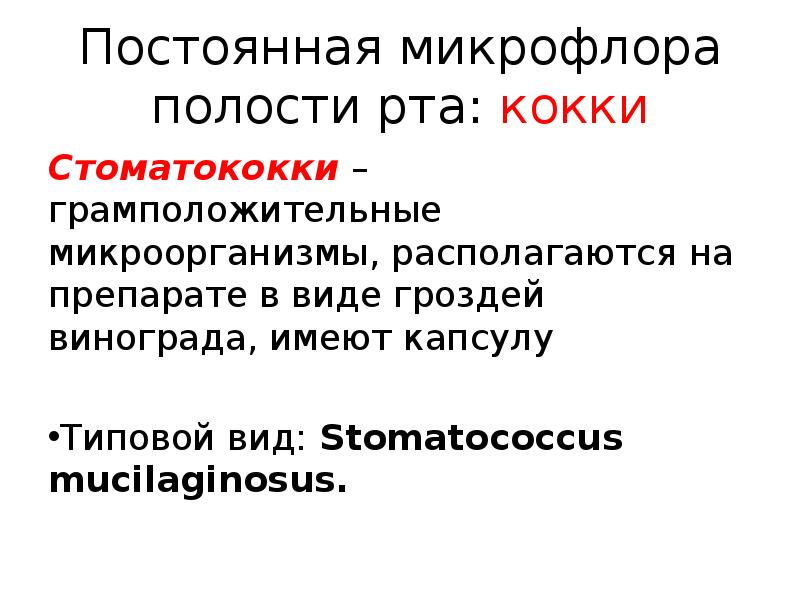 микрофлора полости рта кокки. постоянная микрофлора. микрофлора полости рта кокки. постоянная микрофлора полости рта. микробиоценоз это кратко.