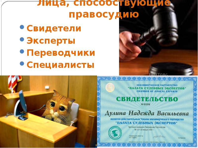 участники арбитражного процесса. участники гражданского п. муббектыгражданскихпроцесуальных отношений. лица содействующие правосудию понятие. лица содействующие правосудию понятие.