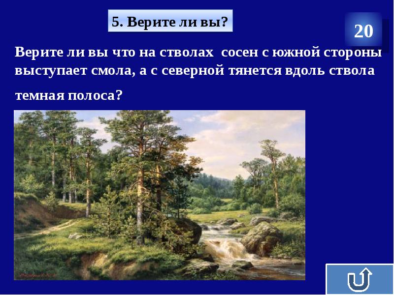 Лица севера. С какой стороны выступает смола. Смола на сосне с какой стороны. Смола хвойных деревьев. Ориентирование на местности по смоле на деревьях.
