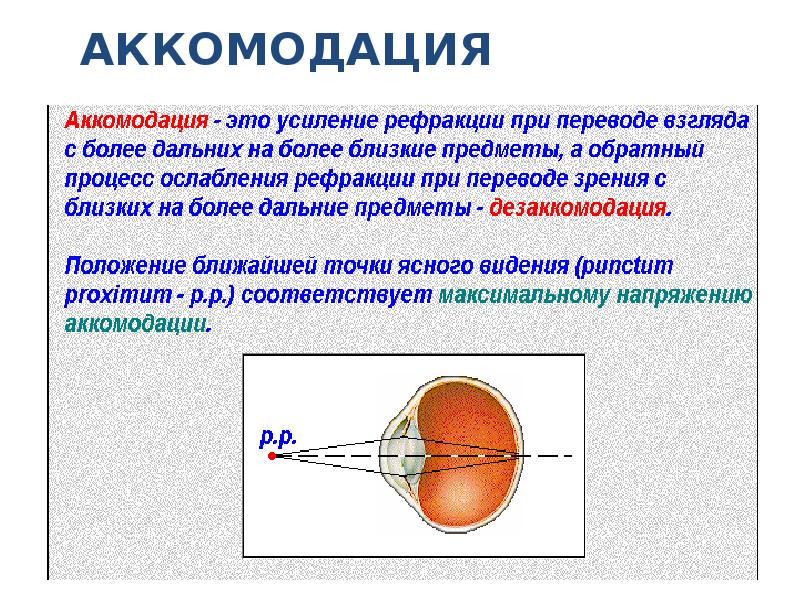 Механизм аккомодации презентация