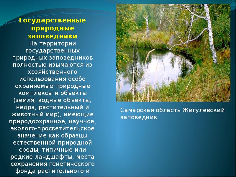 Природные территории виды. Особо охраняемые территории России доклад. Охраняемые территории России доклад. Доклад про охраняемые природные территории России. Сообщение на тему охраняемые территории моей местности России ».