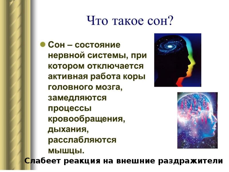 Урок биологии 8 класс сон и бодрствование презентация