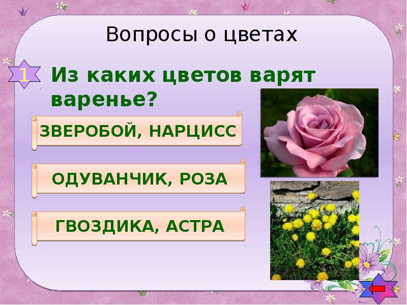 Слова названия цветов