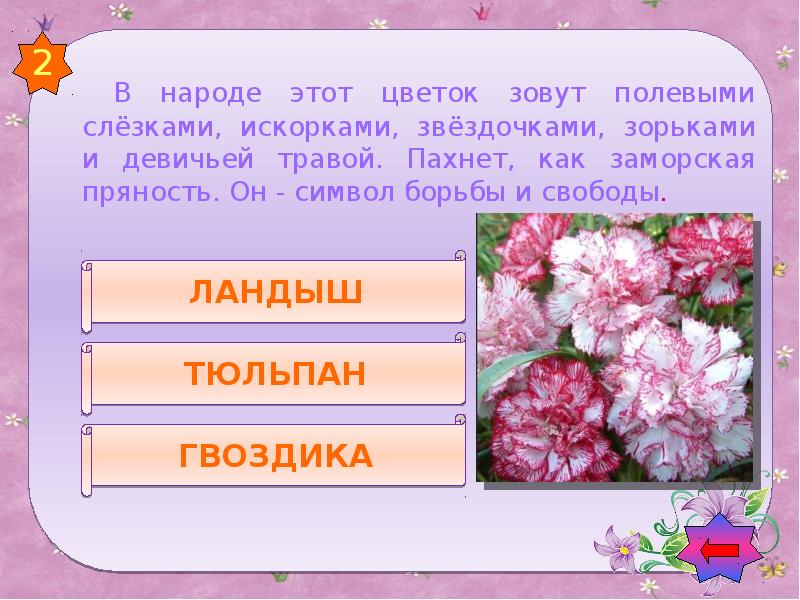 Зовут цветов. Викторина о цветах. Викторина про цветы для детей. Викторина про цветы с ответами для детей. Загадки о цветах викторина.