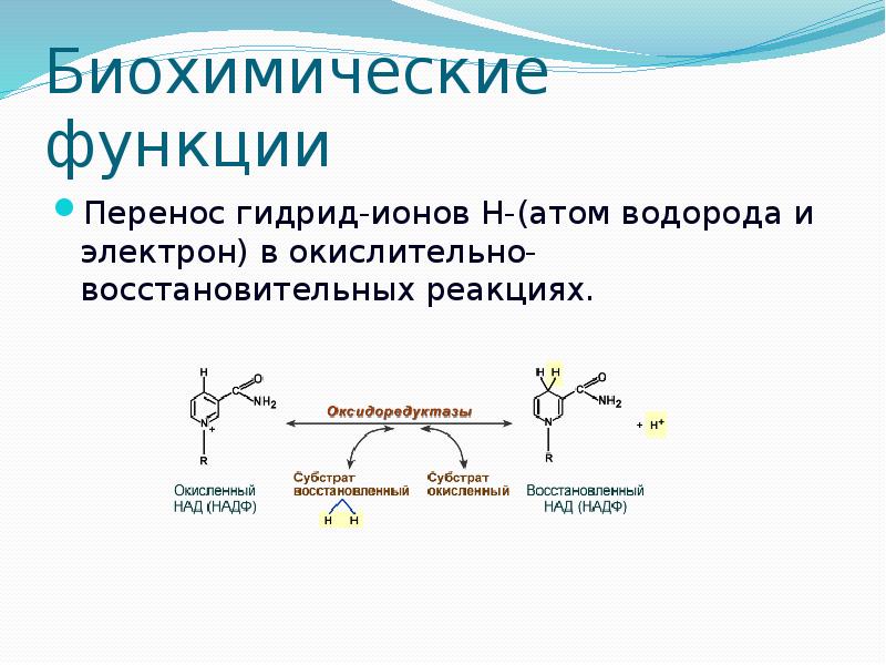 Реакция 12. Перенос гидрид ионов н. Биохимические функции. Функции биохимии. Витамин д функции биохимия.