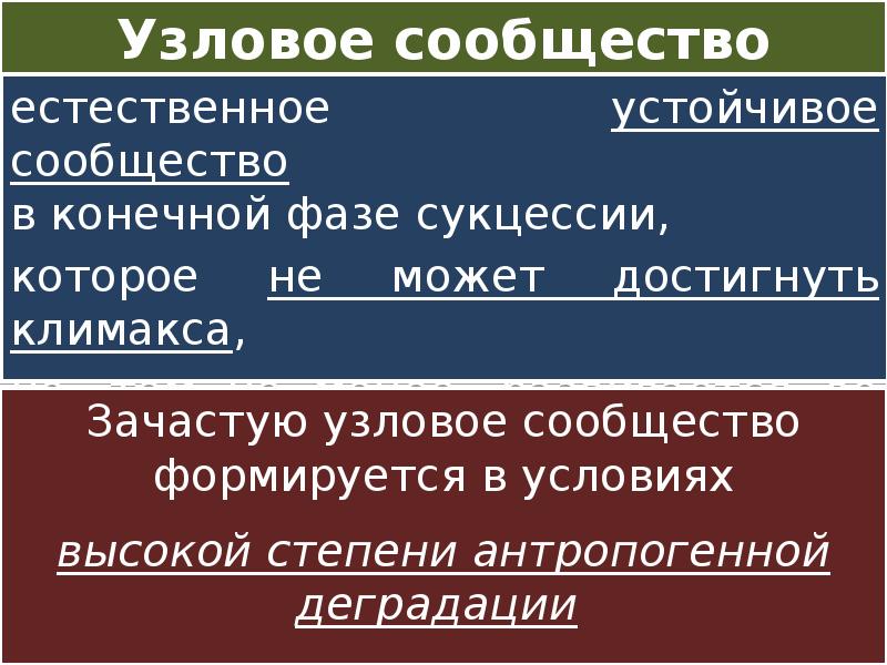 Конечная фаза. Узловое сообщество. Стабильное сообщество. Конечная фаза Скарамучи.