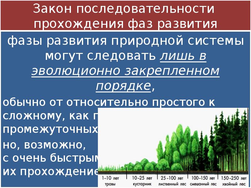 Развитый природный. Закон последовательности прохождения фаз развития. Закономерности сукцессии. Закон последовательности прохождения фаз развития примеры. Последовательность законов.