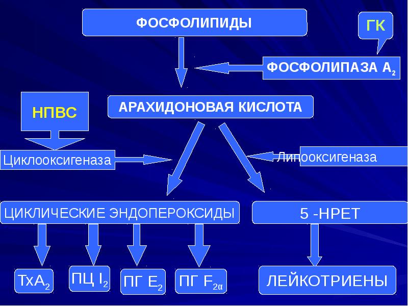 Противоаллергические средства презентация