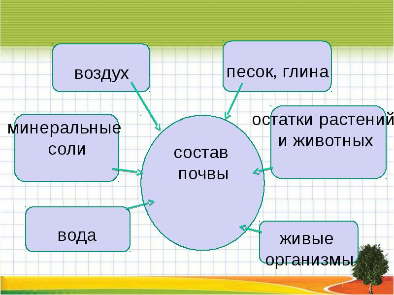 Состав почвы 3 класс окружающий мир