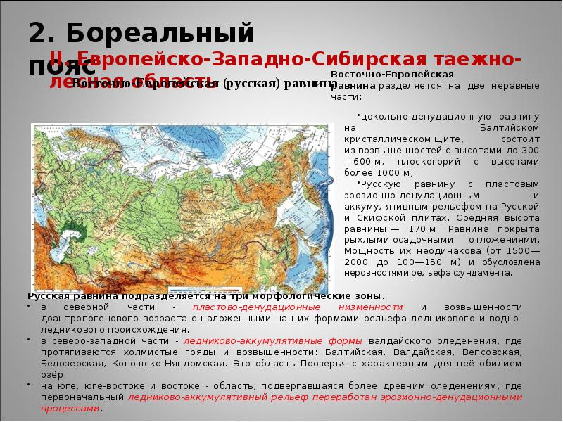 Рельеф западного. Внешние процессы Западно сибирской равнины. Западно Сибирская форма рельефа. Процессы формирования Западно сибирской равнины. Географические пояса бореальный.