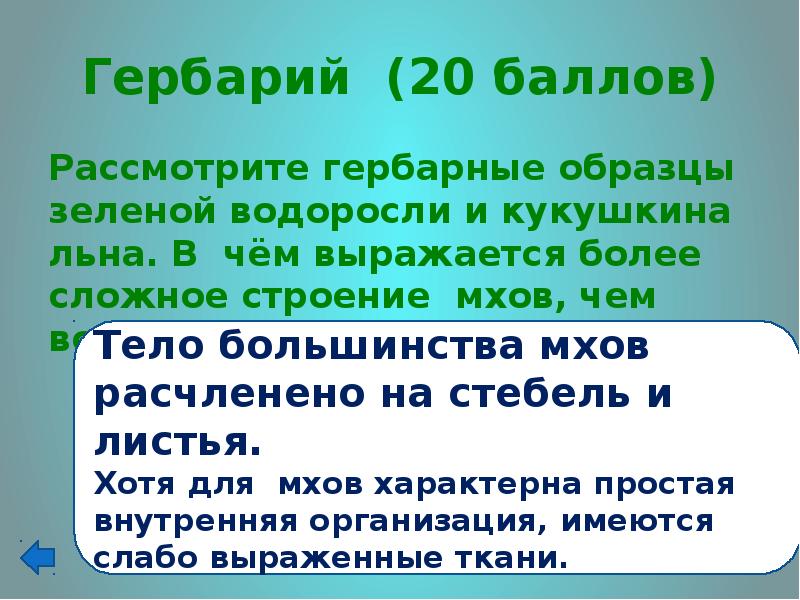 В чём выражается забота родителей о потомстве. В чем выражается более. Принципы религиозной этики. В чем выражается более. Религиозная этика презентация.