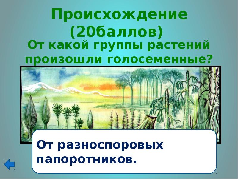 Название какого растения происходит от слова хвост. Согласно современным представлениям растения произошли от.