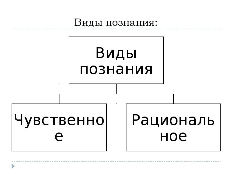 Социальный вид знаний