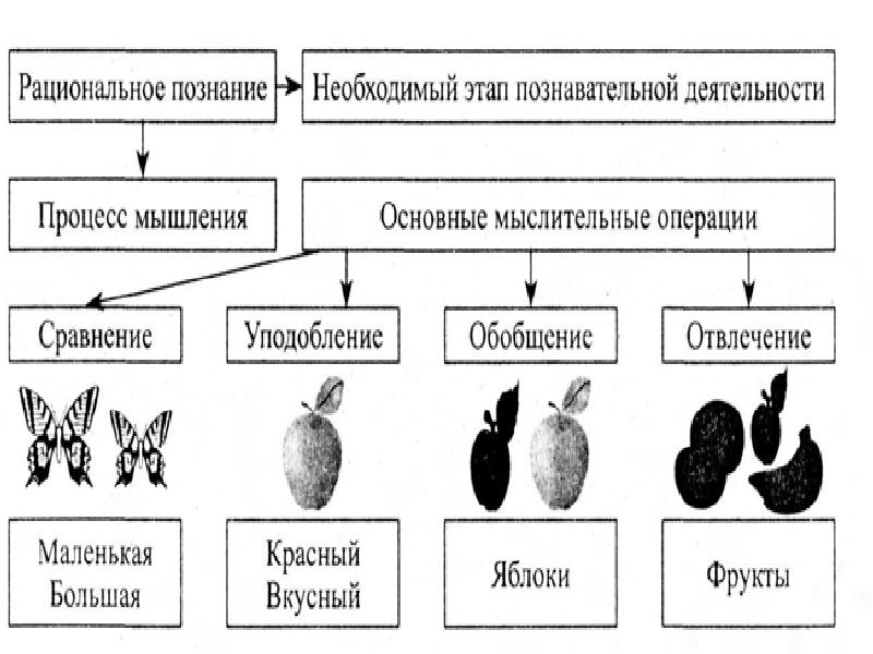 Проблемы познаваемости мира презентация