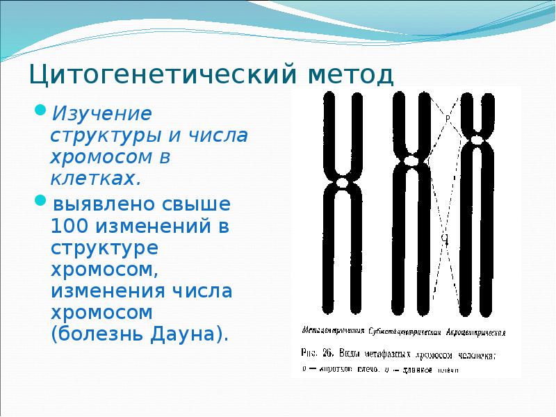 Методы исследования хромосомы