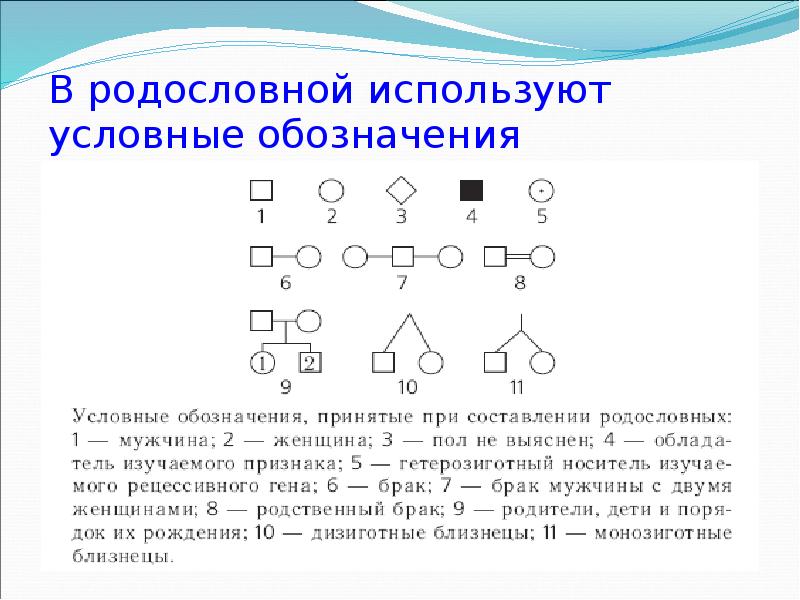 Генеалогический метод это изучение