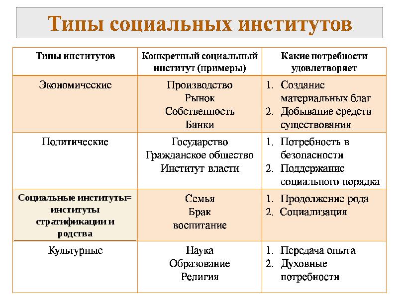 Соотношение понятий социальный проект и социальная программа