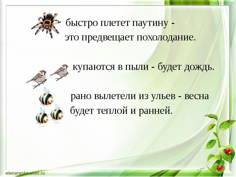 Презентация способы передачи информации в живой природе. Передача информации в живой природе примеры. Предвещать. Плетущие паутину козы.